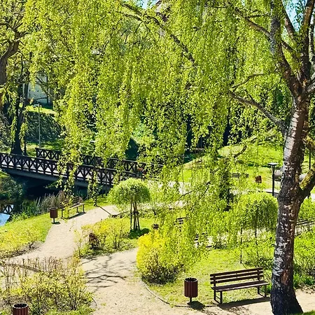 Mazurska
